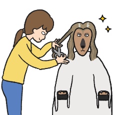 アフガンハウンドがカットするイラスト