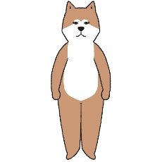 秋田犬が立つイラスト