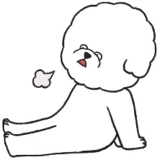 ビション・フリーゼがため息をつくイラスト