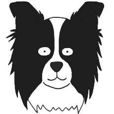ボーダー・コリーのアイコン