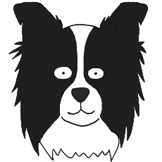 ボーダー・コリー