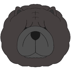 チャウチャウのアイコン(ブラック)