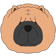 チャウチャウのアイコン(フォーン)