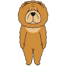 チャウチャウが立つイラスト