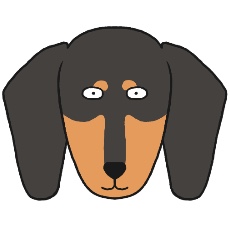 ダックスフンド(スムース：ブラックタン)