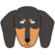 ダックスフンド