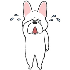 フレンチブルドッグが泣いているイラスト