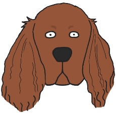 アイリッシュ・セターのアイコン