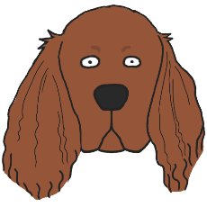 アイリッシュ・セター