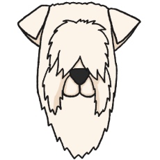 アイリッシュ・ソフトコーテッド・ウィートン・テリアのアイコン