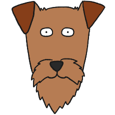 アイリッシュ・テリア