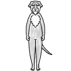 アイリッシュ・ウルフハウンドが立つイラスト