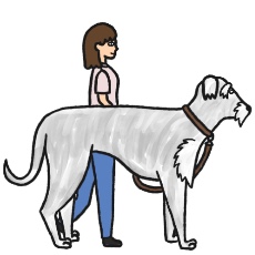 アイリッシュ・ウルフハウンドを散歩するイラスト(女性)