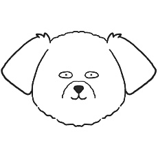 マルチーズのアイコン