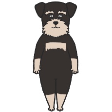 ミニチュア・シュナウザーが立つイラスト