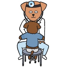 ミックス犬の先生がプードルを診察するイラスト