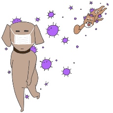 ミックス犬が菌を撒き散らすイラスト