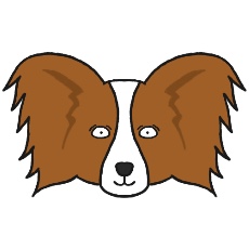 パピヨンのアイコン