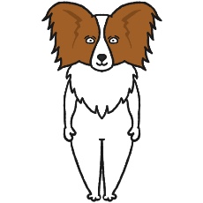パピヨンが立つイラスト