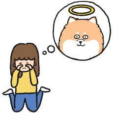 愛犬(ポメラニアン)を思い出して涙する飼い主のイラスト