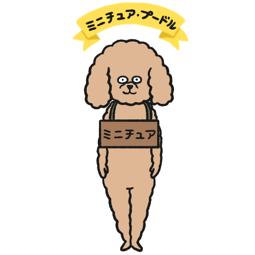 プードルのランキング