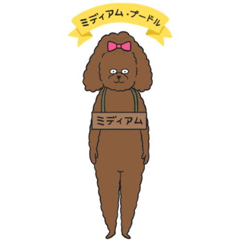 プードルのランキング