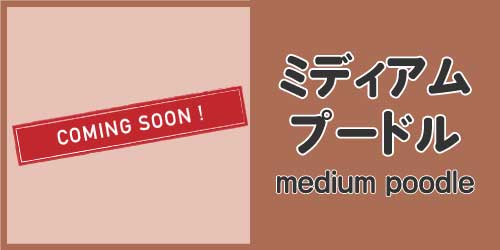 ミディアム・プードル