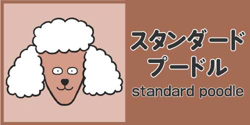 スタンダード・プードル