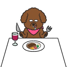 トイ・プードルが食事をするイラスト