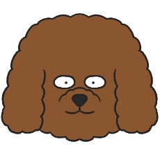トイ・プードルのアイコン(ブラウン)