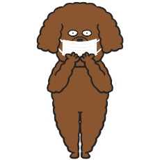 トイ・プードルがマスクを着けたイラスト