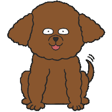 トイ・プードルがシッポを振るアニメーション