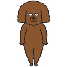 トイ・プードルが立つイラスト