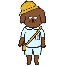 トイ・プードルが制服を着たイラスト