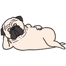 パグが横になるイラスト