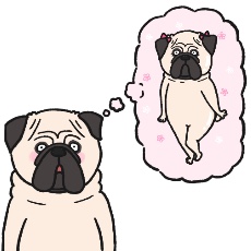 パグが片想いするイラスト
