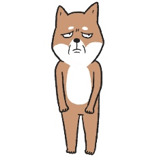 柴犬がじっと見るイラスト