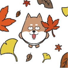 柴犬と紅葉のイラスト