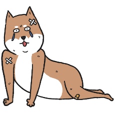 柴犬がボロボロになるイラスト