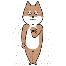 柴犬の永遠に抜ける換毛期のイラスト