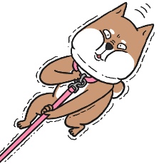 拒否柴のイラスト