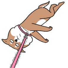 脱力系拒否柴のイラスト