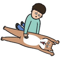 柴犬のトレーニングをするイラスト