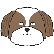 シー・ズーのアイコン