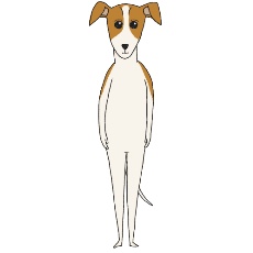 ウィペットが立つイラスト