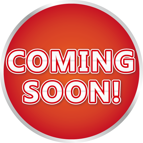 アイリッシュ・レッド・アンド・ホワイト・セター